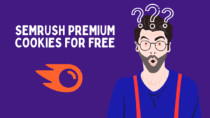 How SEMrush Premium cookies work?