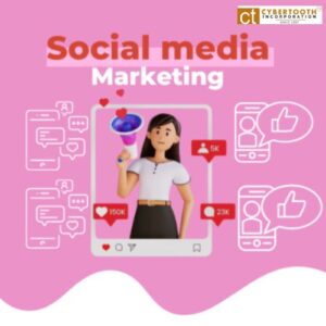Social media marketing price in India